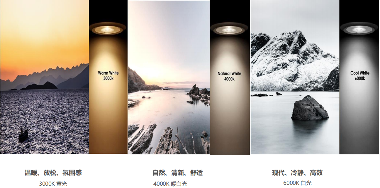 【設計案例】普照國康醫藥辦公室項目概念設計——以空間敘事,筑品牌基因(圖26) 【設計案例】普照國康醫藥辦公室項目概念設計——以空間敘事,筑品牌基因(圖26)