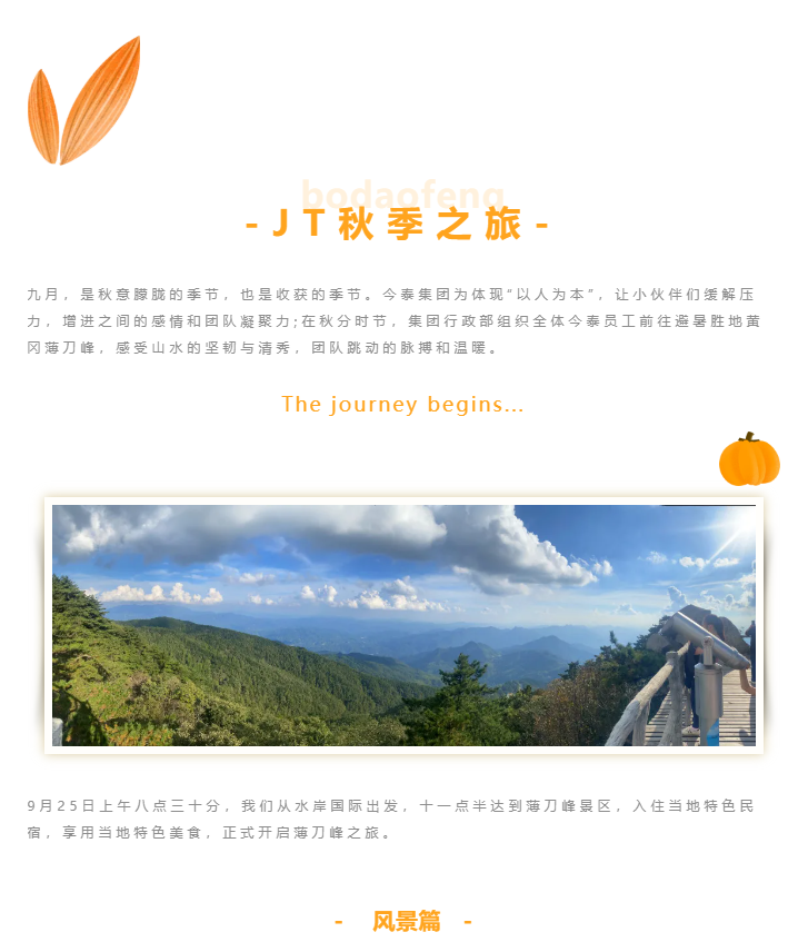 秋天了，來一場成年人的秋游吧(圖1)