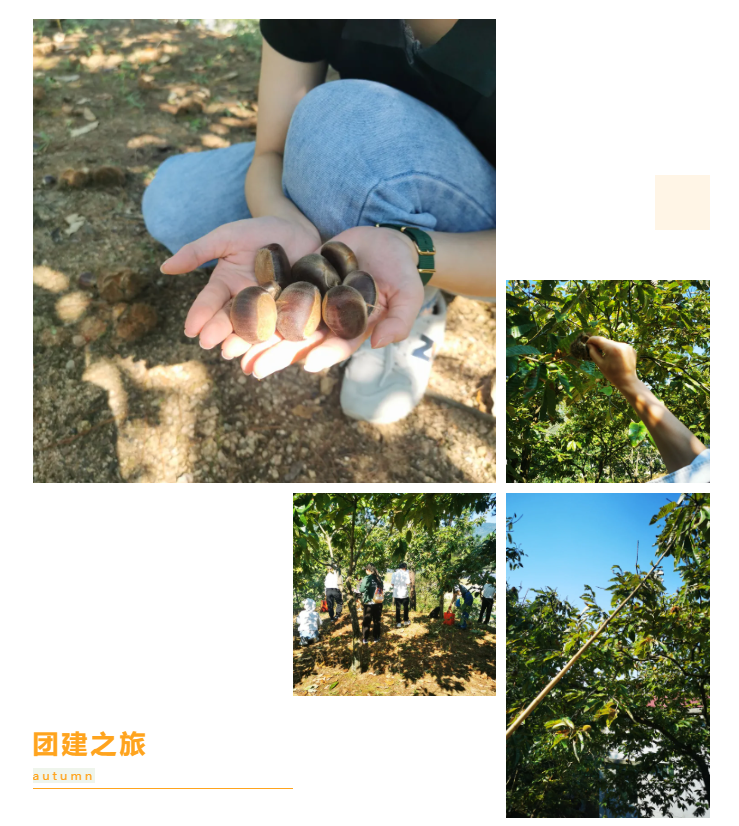 秋天了，來一場成年人的秋游吧(圖6)